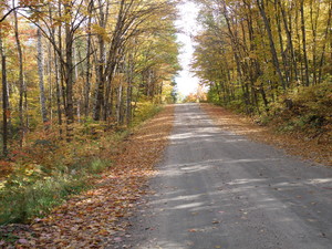 <strong>McKinley Road in Autumn by Catherine Walsh</strong>