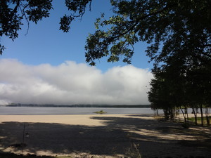 <strong>Shady Beach by Dan Wilson</strong>