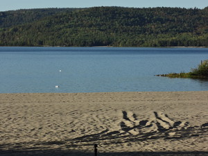 <strong>Beach by Dan Wilson</strong>