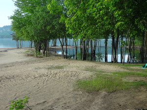 <strong>Beach Puddle by Dan Wilson</strong>