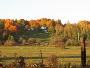 <strong>Billy Hogue Farm in Fall by P. MacDonald</strong>